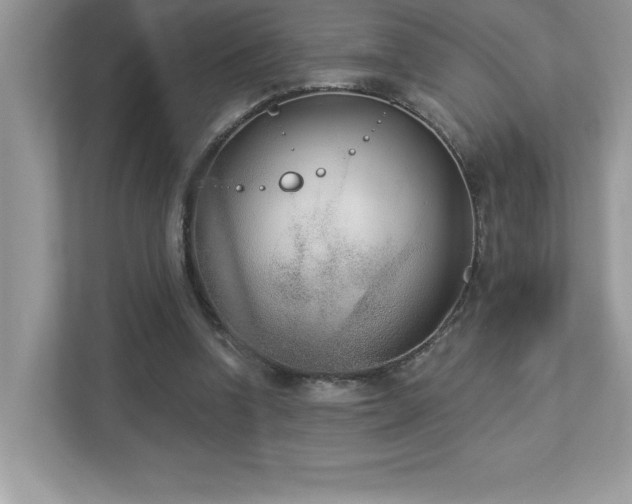 X0000112860346200908211325