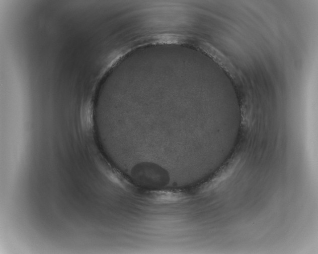 X0000112860347200908211325