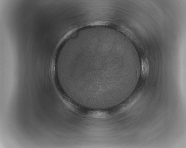 X0000112860348200908211325