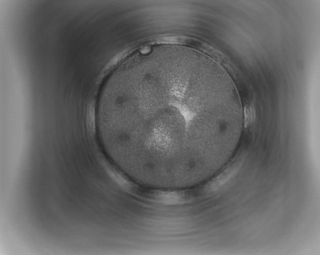 X0000112860349200908211325