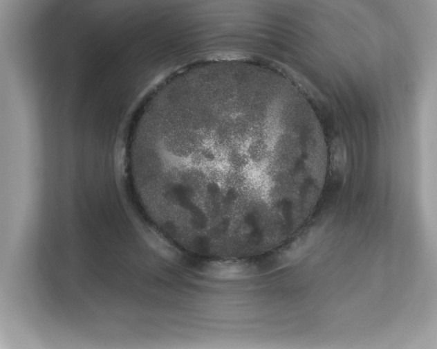 X0000112860351200908211325