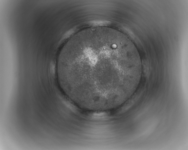 X0000112860357200908211325