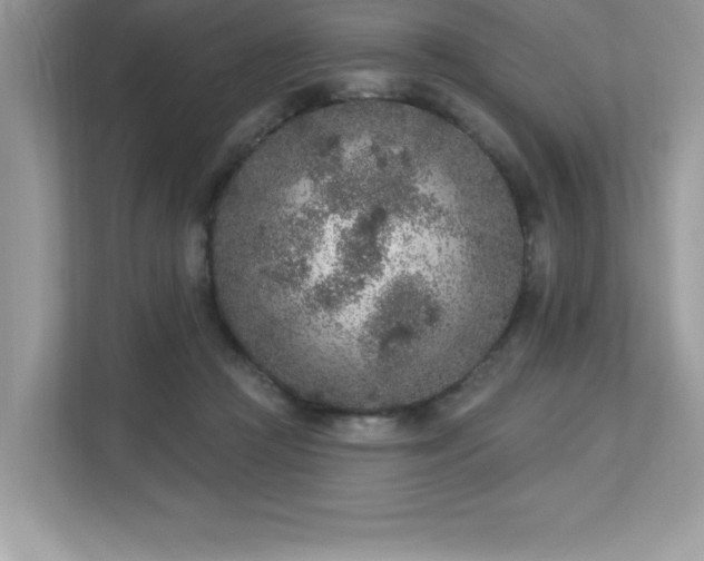 X0000112860361200908211325