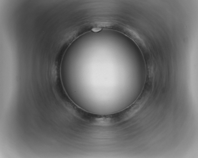 X0000112860362200908211325