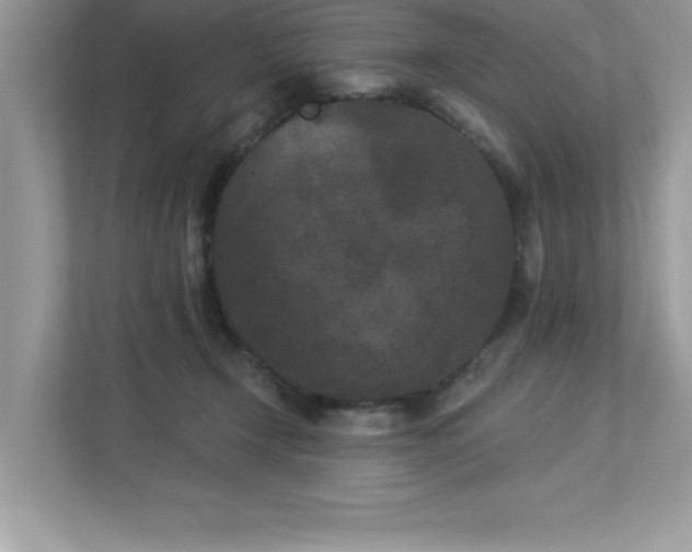 X0000112860366200908211325