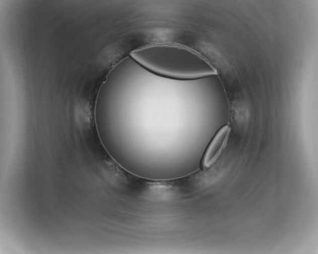 X0000112860380200908211326