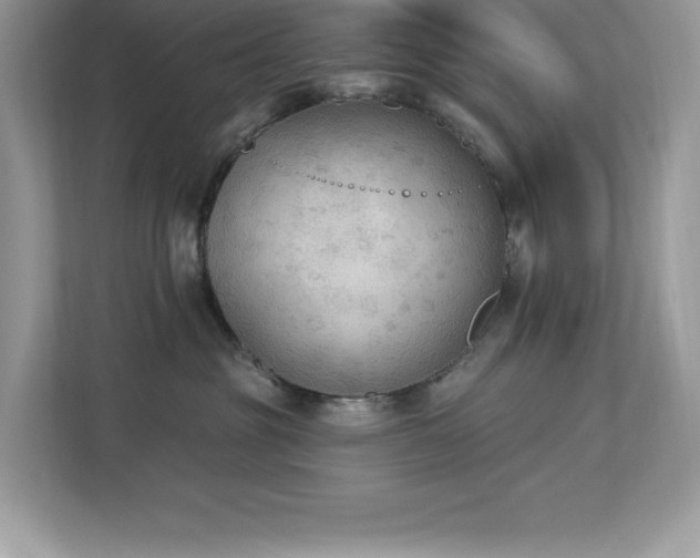 X0000112860381200908211326