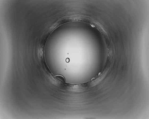 X0000112860382200908211326