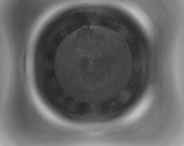 X0000112860383200908211326