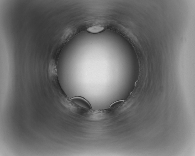 X0000112860384200908211326