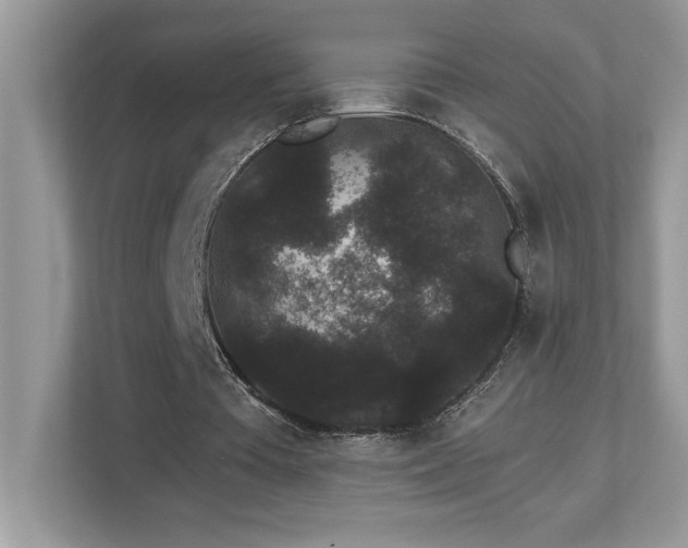 X0000112860385200908211325