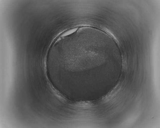 X0000112860386200908211325