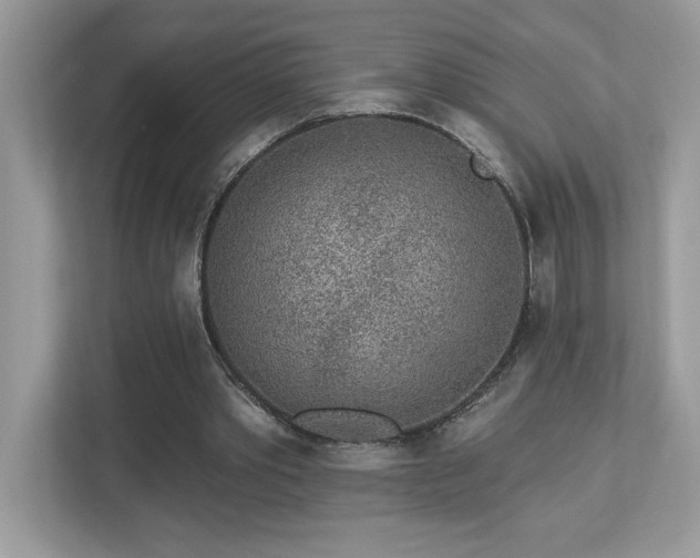X0000112860389200908211325