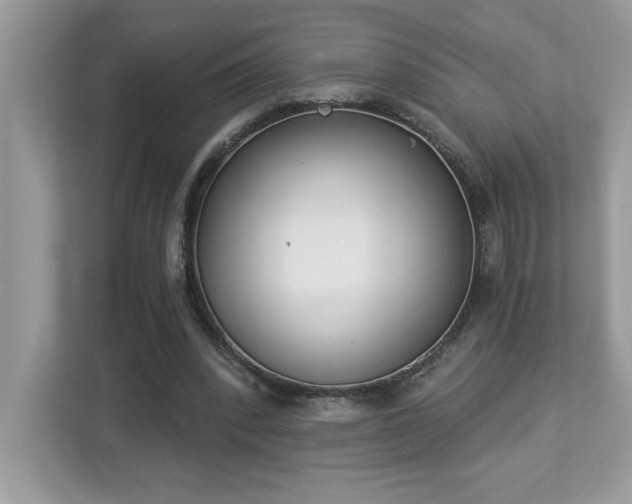 X0000112860392200908211325