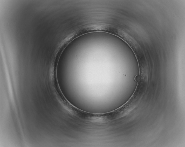 X0000112860394200908211325