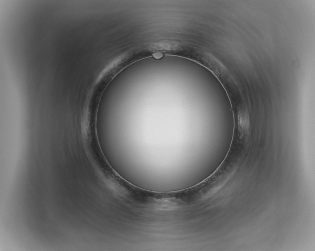X0000112860396200908211325