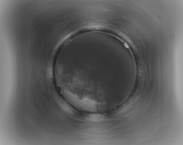 X0000112860399200908211325