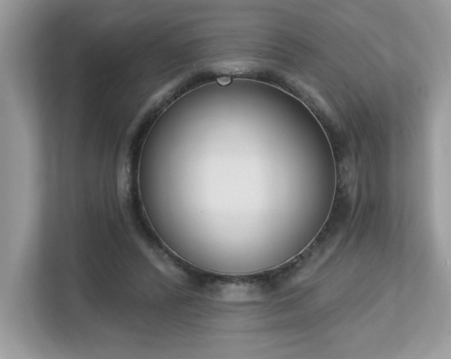 X0000112860400200908211325