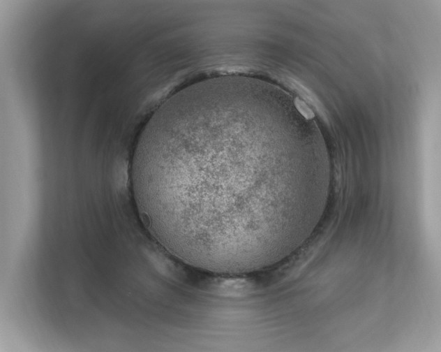 X0000112860401200908211325