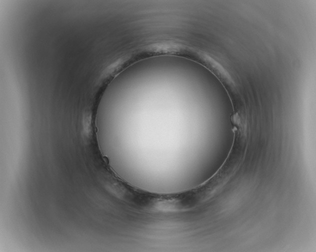 X0000112860403200908211325