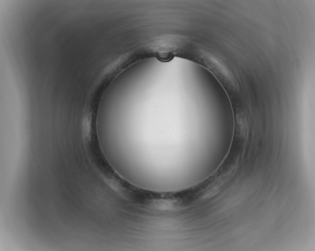 X0000112860404200908211325