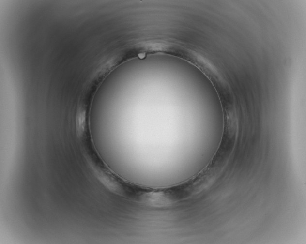 X0000112860406200908211325