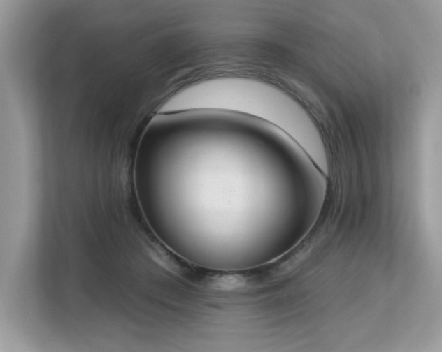 X0000112860409200908211325