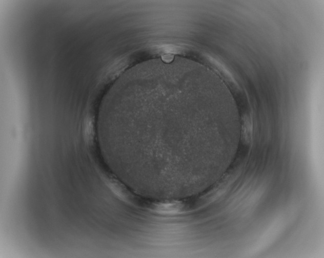 X0000112860410200908211325