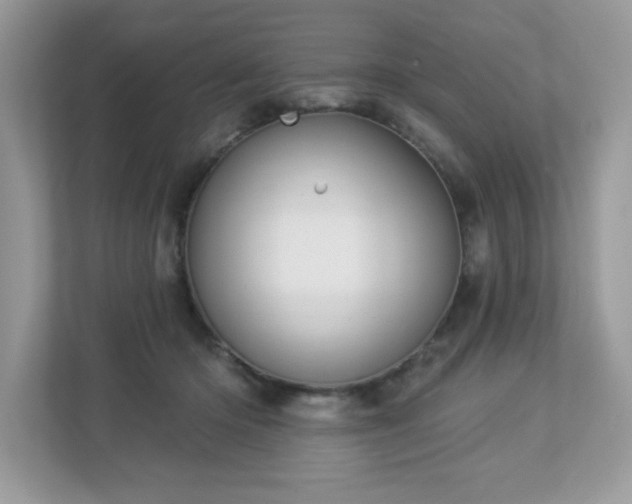 X0000112860414200908211325