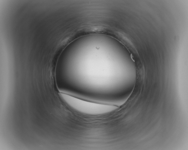 X0000112860415200908211325