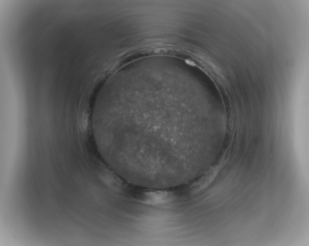 X0000112860417200908211325