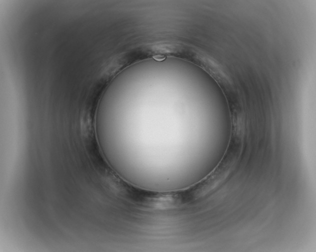 X0000112860418200908211325