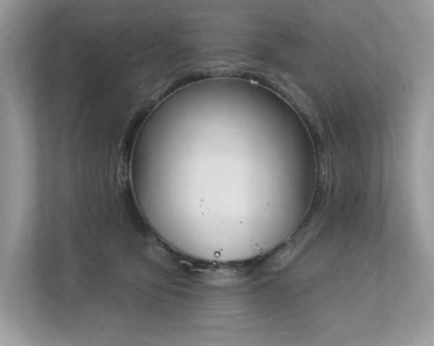 X0000112860419200908211325