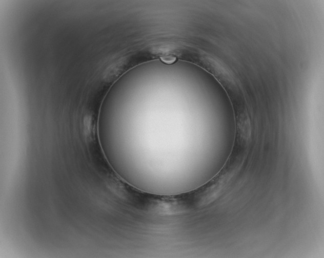 X0000112860420200908211325