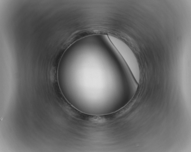 X0000112860421200908211325