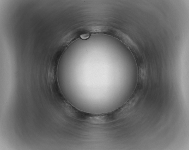 X0000112860422200908211325