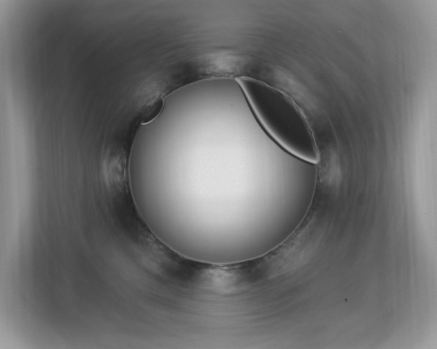 X0000112860425200908211325