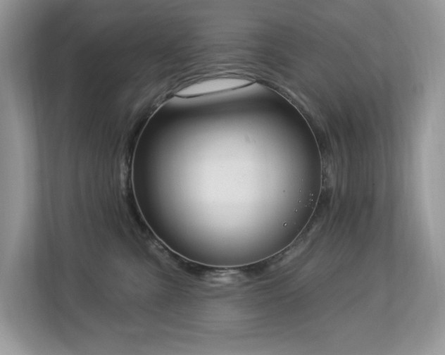 X0000112860427200908211325