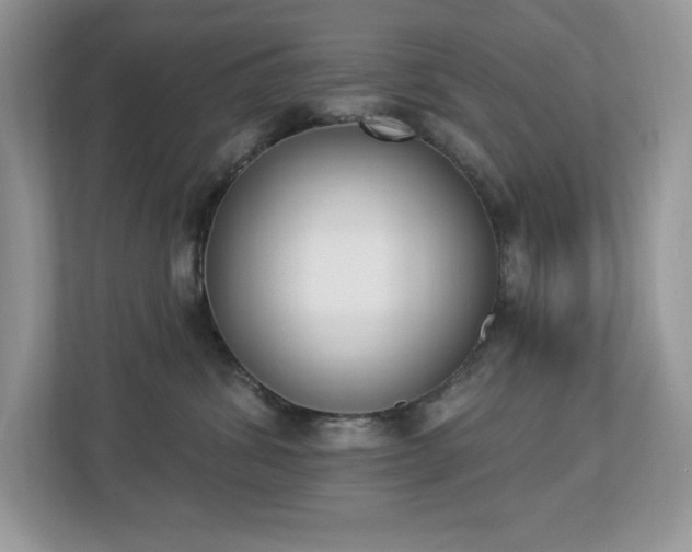X0000112860428200908211325