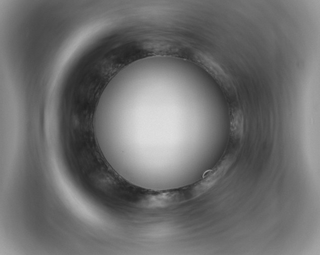 X0000112860430200908211324
