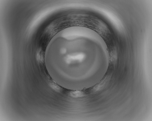 X0000112860431200908211324