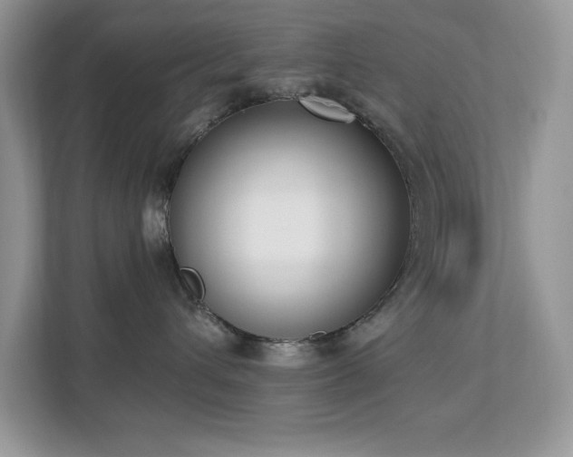 X0000112860432200908211324
