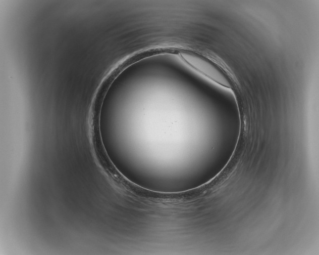 X0000112860436200908211324