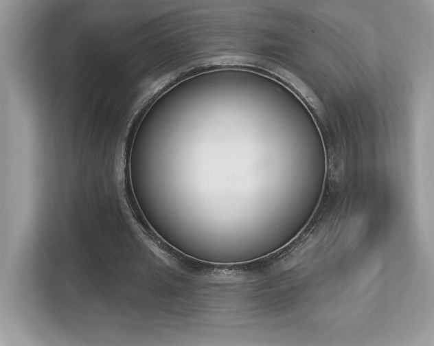 X0000112860437200908211324