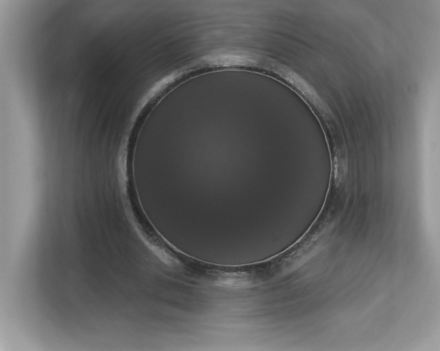X0000112860438200908211324