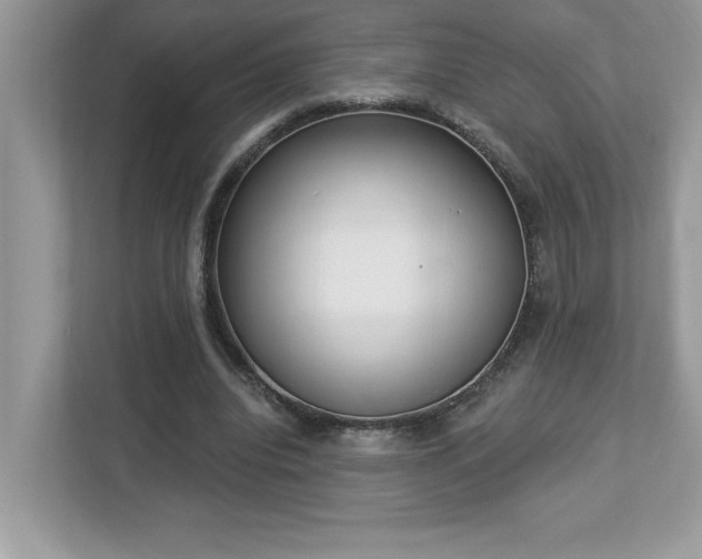 X0000112860440200908211324