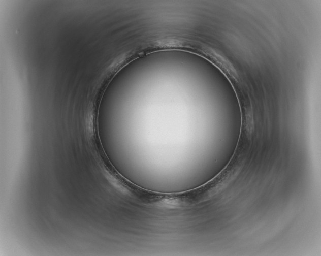 X0000112860441200908211324