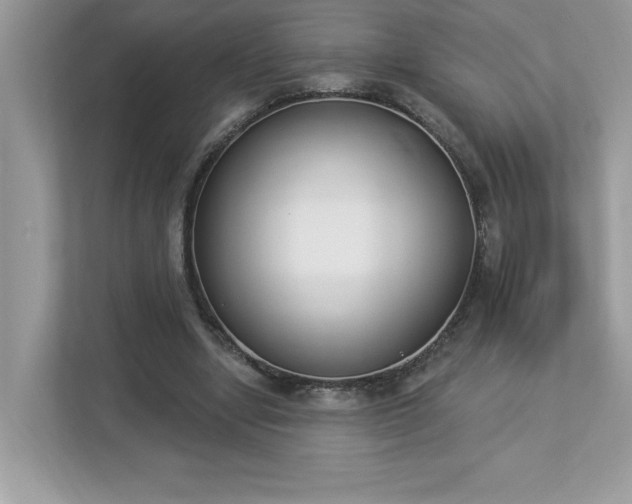 X0000112860442200908211324