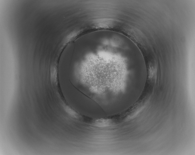 X0000112860444200908211324