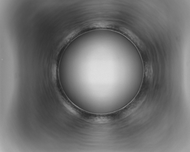 X0000112860445200908211324